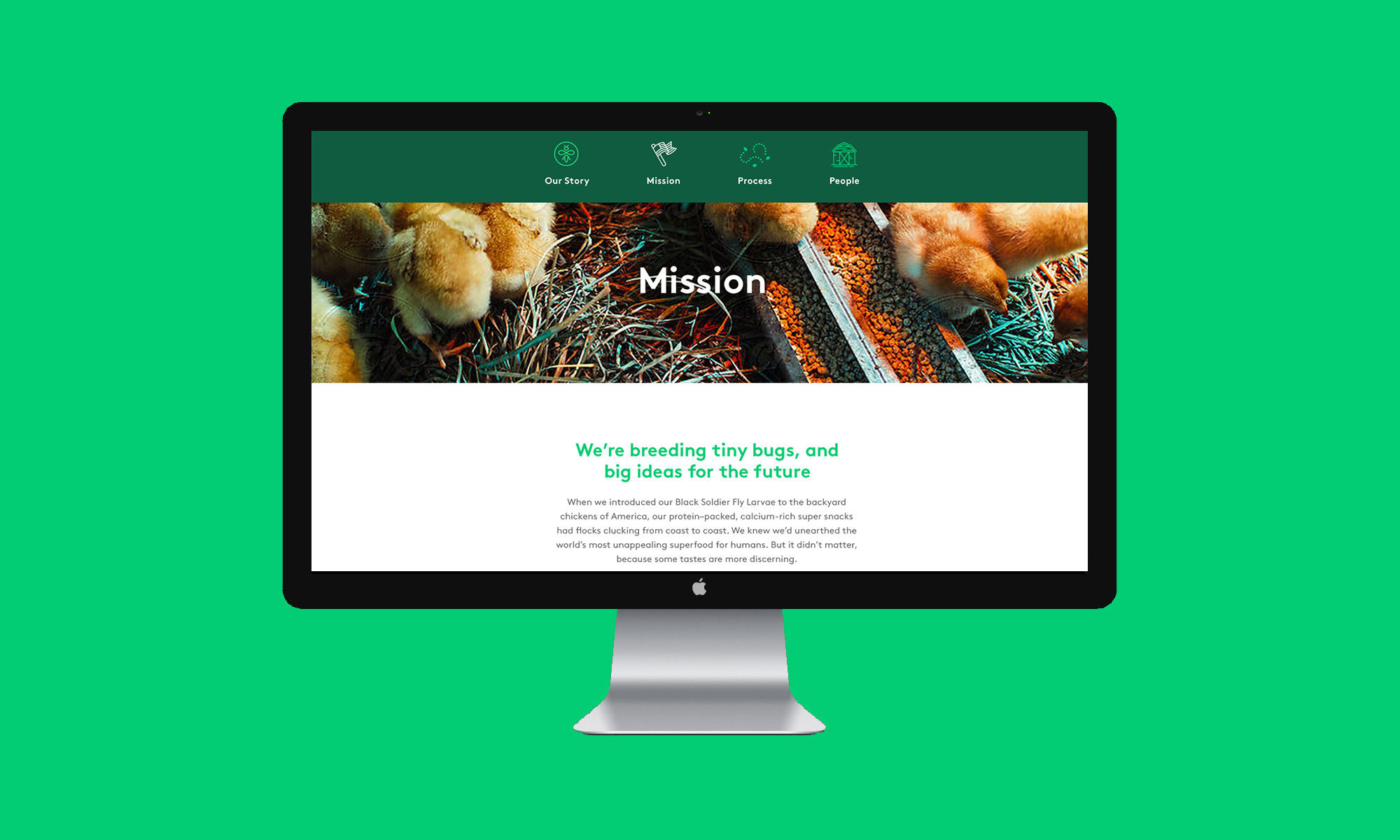 branding digital agency dallas tx new york city