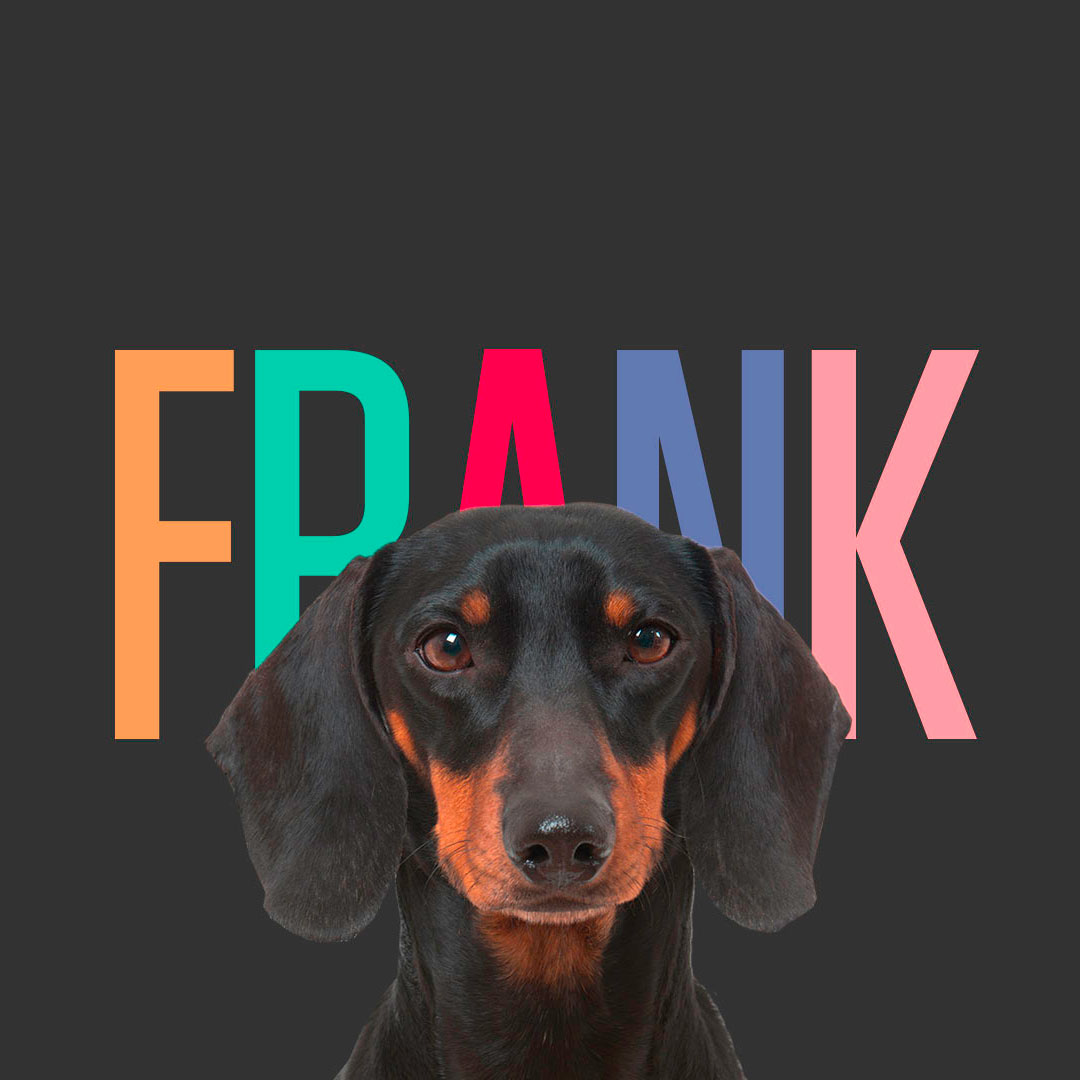 pet product branding