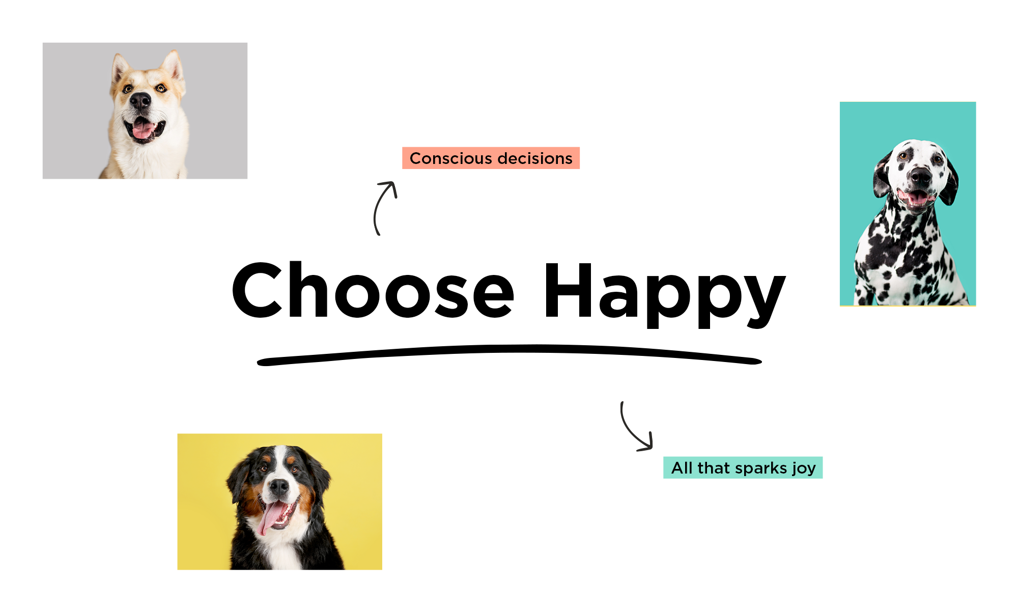 pet branding