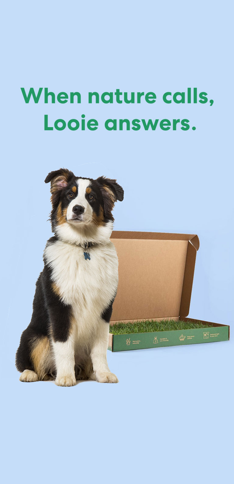 pet product branding