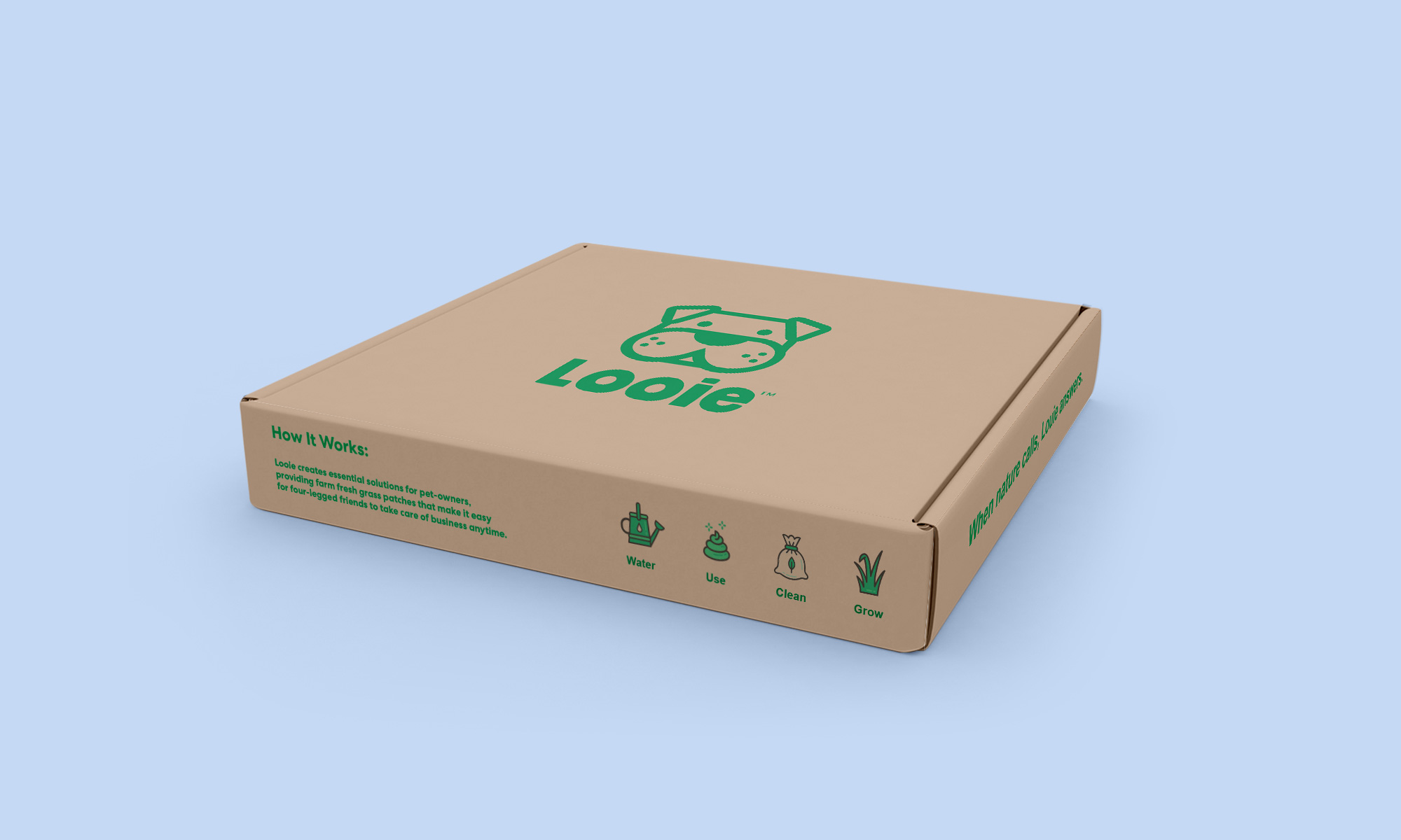 looie branding